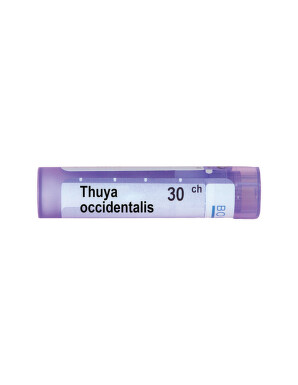 Thuya occidentalis 30 ch - 3689_THUYA_OCCIDENTALIS30CH[$FXD$].jpg