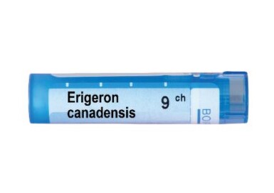 Erigeron canadensis 9 ch - 3461_ERIGERON_CANADENSIS_9_CH[$FXD$].JPG