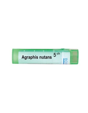 Agraphis nutans 5 ch - 3786_AGRAPHIS_NUTANS5CH[$FXD$].jpg