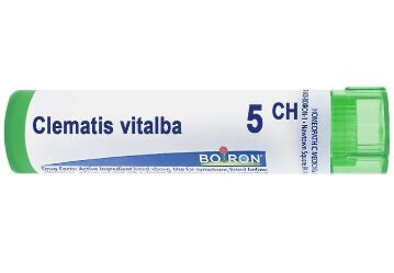 Clematis vitalba 5 ch - 3550_CLEMATIS_VITALBA_5_CH[$FXD$].JPG
