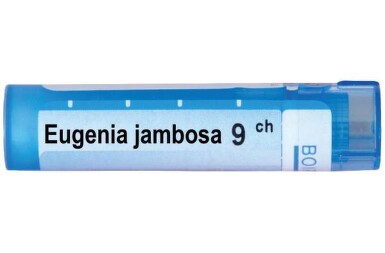 Eugenia jambosa 9 ch - 3454_EUGENIA_JAMBOSA_9_CH[$FXD$].jpg