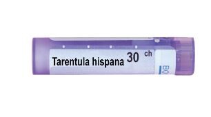 Tarentula hispana 30 ch - 3356_TARENTULA_HISPANA_30_CH[$FXD$].JPG