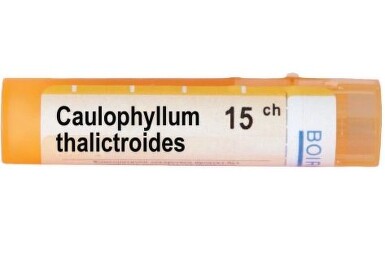 Caulophyllum thalictroides 15 ch - 3348_CAULOPHYLLUM_THALICTROIDES_15_CH[$FXD$].JPG