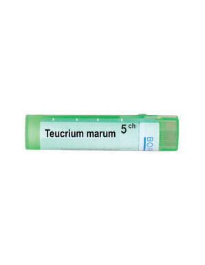 Teucrium marum 5 ch - 3695_TEUCRIUM_MARUM5CH[$FXD$].jpg