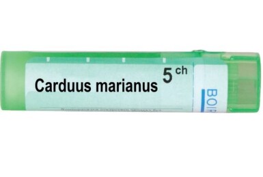 Carduus marianus 5 ch - 3340_CARDUUS_MARIANUS_5_CH[$FXD$].JPG