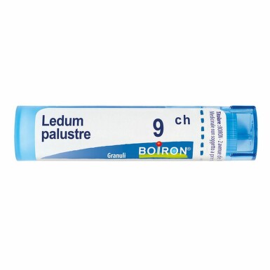 Ledum palustre 9 ch - 3622_LEDUM PALUSTRE9CH[$FXD$].jpg