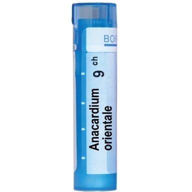 Anacardium orientale 9 ch - 3501_ANACARDIUM_ORIENTALE_9_CH[$FXD$].jpg