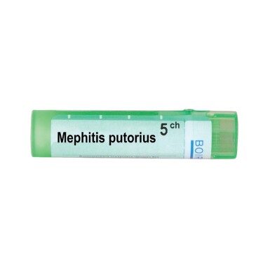 Mephitis putorius 5 ch - 3646_MEPHITISPUTORIUS5CH[$FXD$].jpg