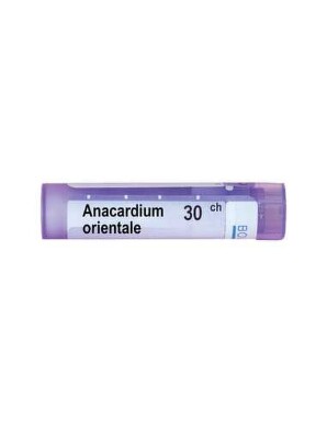 Anacardium orientale 30ch - 3757_ANACARDIUM_ORIENTALE30CH[$FXD$].jpg