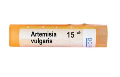 Artemisia vulgaris 15 ch - 3803_artemisia.JPG
