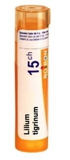 Lilium tigrinum 15 ch - 3350_LILIUM_TIGRINUM_15_CH[$FXD$].JPG