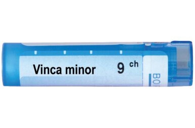 Vinca minor 9ch - 3477_VINCA_MINOR_9CH[$FXD$].jpg