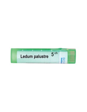 Ledum palustre 5 ch - 3619_LEDUM PALUSTRE5CH[$FXD$].jpg