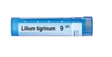 Lilium tigrinum 9 ch - 3625_LILIUMTIGRINUM9CH[$FXD$].jpg