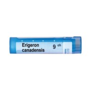Erigeron canadensis 9 ch