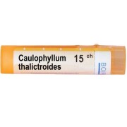 CAULOPHYLLUM THALICTROIDES 15 CH