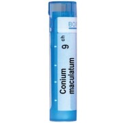 Conium maculatum 9 ch