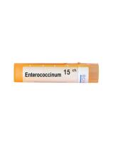 Enterococcinum 15 ch