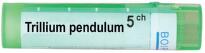 Trillium pendulum 5 ch