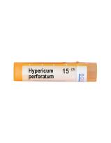 Hypericum perforatum 15 ch