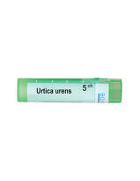 Urtica urens 5 ch
