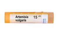 Artemisia vulgaris 15 ch