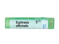 Euphrasia officinalis 5 ch