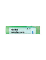 Robinia pseudo acacia 5 ch