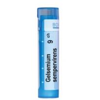 Gelsemium sempervir 9 ch