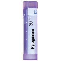 Pyrogenium 30 ch