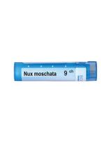 Nux moschata 9 ch