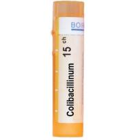 Colibacillinum 15 ch