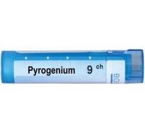 Pyrogenium 9 ch