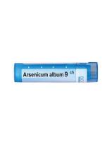 Arsenicum album 9 ch