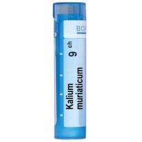 Kalium muriaticum 9 ch