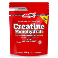 Amix creatine monohydrate 250гр Pack power